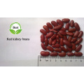 Dried Dark Red Kidney Beans